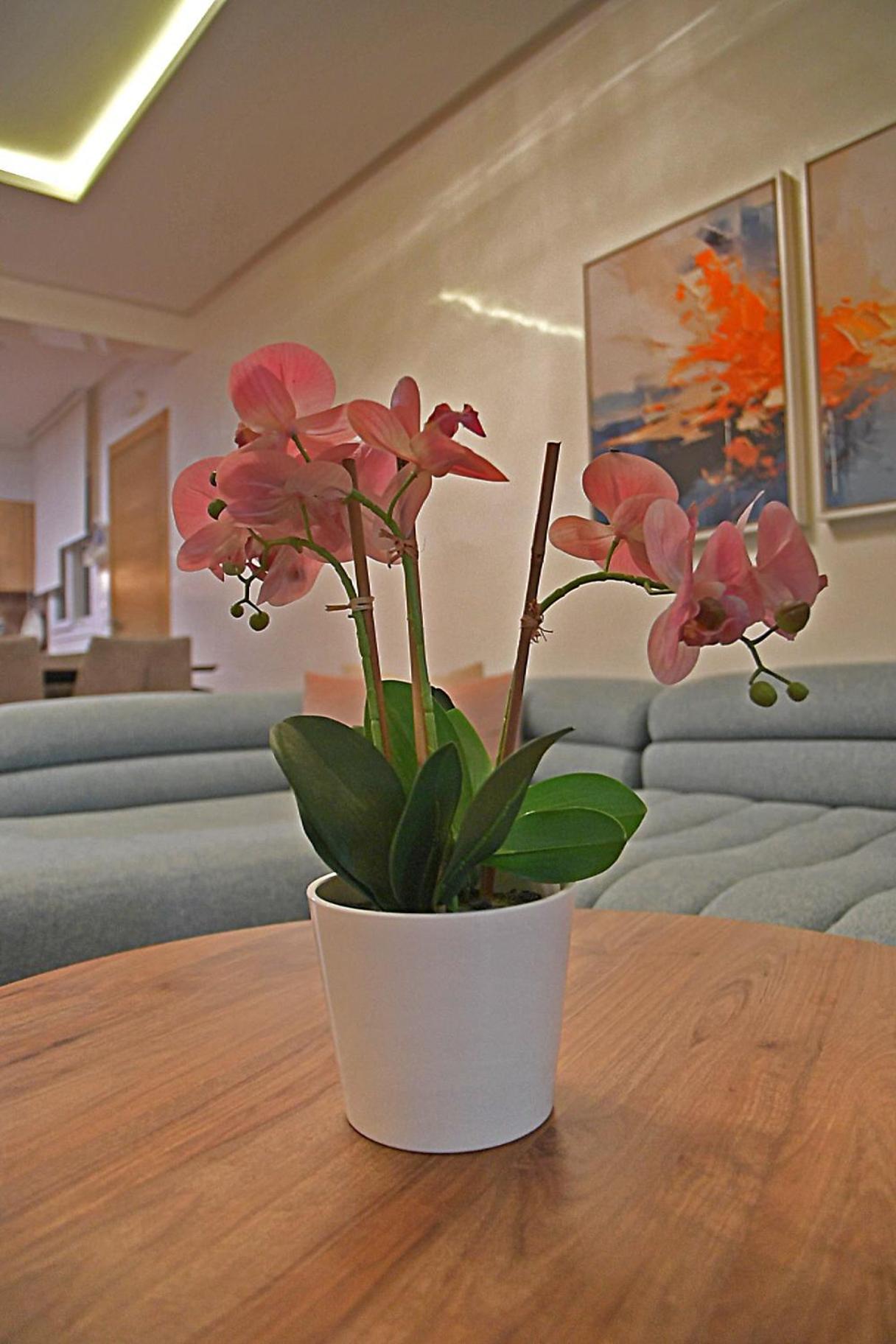 Inhome Appartement *
